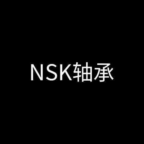 NSK圓柱滾子軸承 NN3024TBKRCC0P4